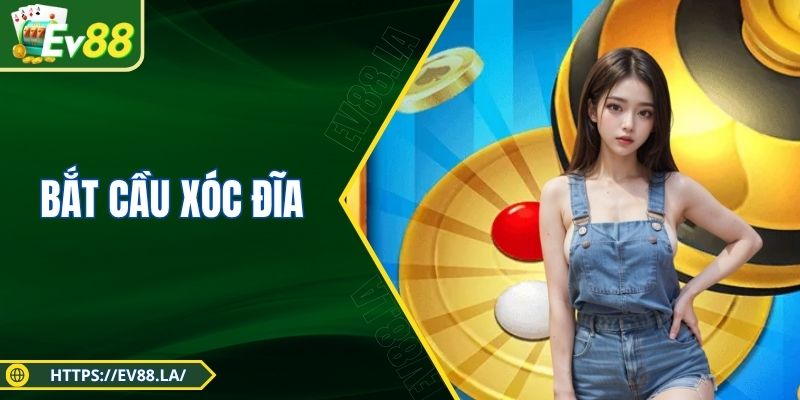 Bắt Cầu Xóc Đĩa - Chiến Thuật Đỉnh Cao Nâng Tầm Cuộc Vui