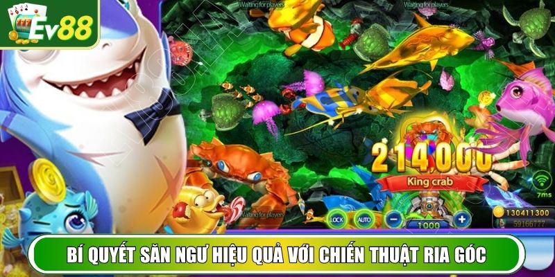 Bí quyết săn ngư hiệu quả với chiến thuật ria góc