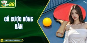 Cá Cược Bóng Bàn - Môn Thể Thao Tốc Độ Gay Cấn Top 2025