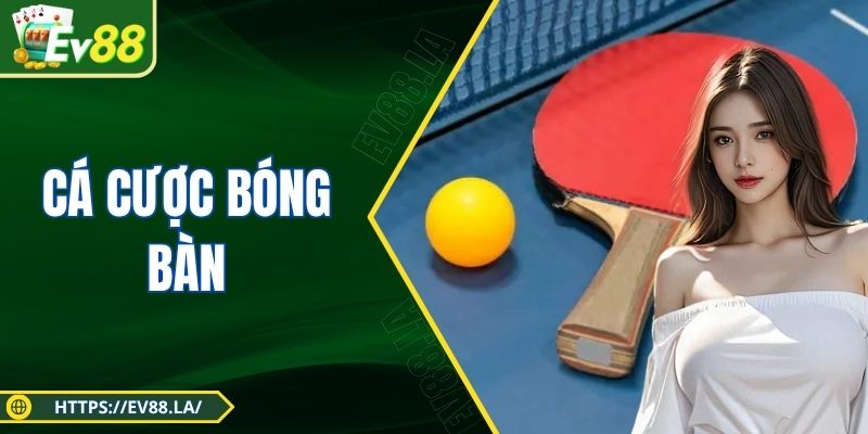 Cá Cược Bóng Bàn - Môn Thể Thao Tốc Độ Gay Cấn Top 2025