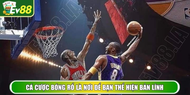 Cá cược bóng rổ là nơi để bạn thể hiện bản lĩnh