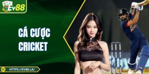 Cá Cược Cricket - Thử Sức Mới Lạ Đầy Lôi Cuốn Tại EV88