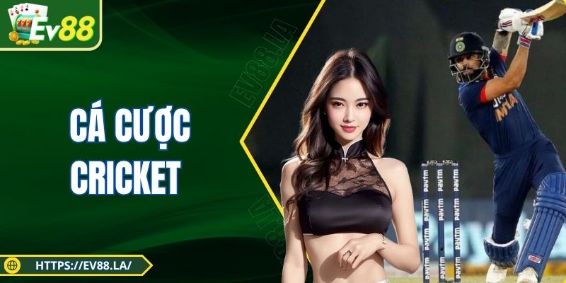 Cá Cược Cricket - Thử Sức Mới Lạ Đầy Lôi Cuốn Tại EV88