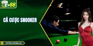 Cá Cược Snooker