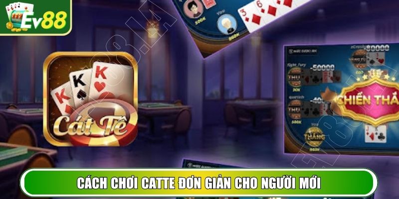 Cách chơi Catte đơn giản cho người mới