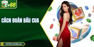 Cách Đoán Bầu Cua Trúng Lớn 2025 Dành Cho Hội Viên EV88