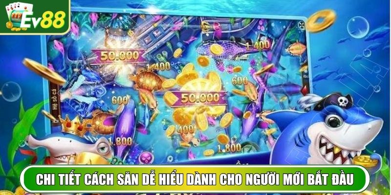 Chi tiết cách săn dễ hiểu dành cho người mới bắt đầu