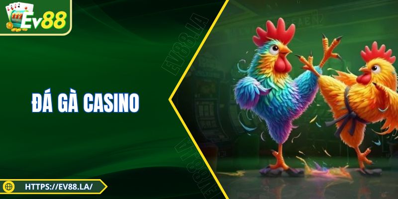Đá Gà Casino - Mẹo Cược Trận Đấu Chọi Kê Cực Chuẩn Xác