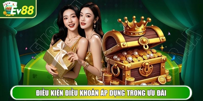 Điều khoản điều kiện triển khai ưu đãi