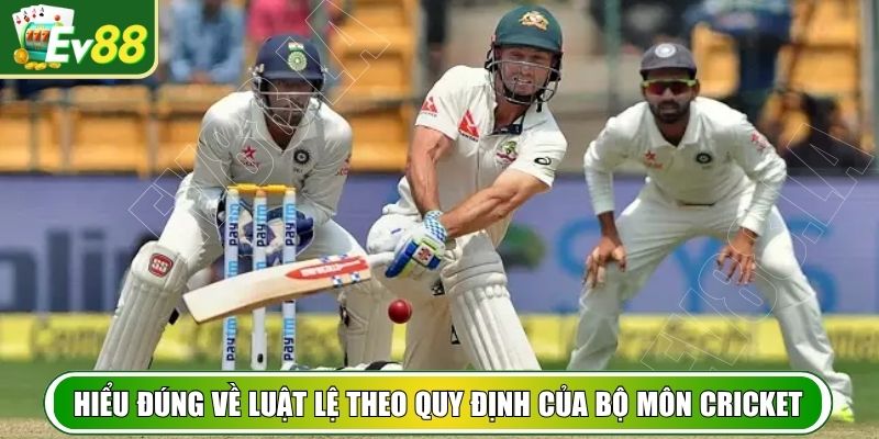 Hiểu đúng về luật lệ theo quy định của bộ môn Cricket