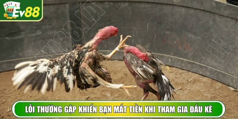 Lỗi thường gặp khiến bạn mất tiền khi tham gia đấu kê