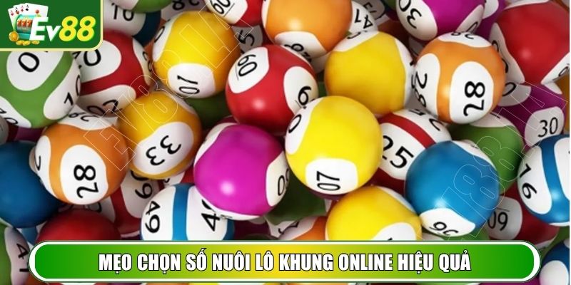 Mẹo chọn số nuôi lô khung online hiệu quả