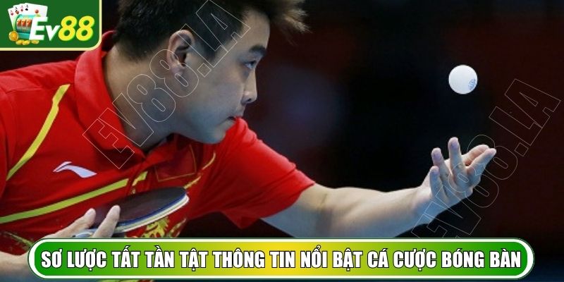 Sơ lược tất tần tật thông tin nổi bật cá cược bóng bàn