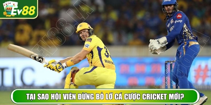 Tại sao hội viên đừng bỏ lỡ cá cược Cricket mới?