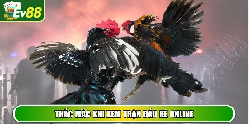 Thắc mắc khi xem trận đấu kê online