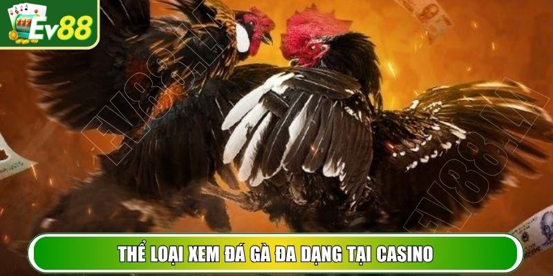 Thể loại xem đá gà đa dạng tại Casino