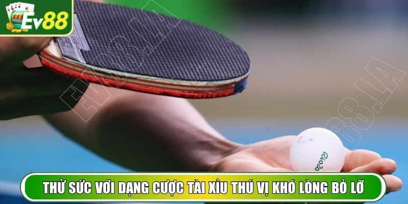 Thử sức với dạng cược tài xỉu thú vị khó lòng bỏ lỡ
