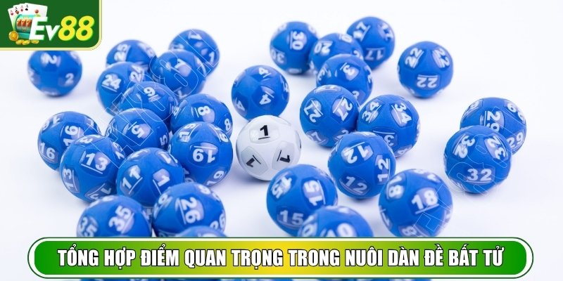 Tổng hợp điểm quan trọng trong cách nuôi dàn đề bất tử