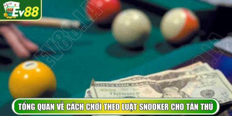 Tổng quan về cách chơi theo luật Snooker cho tân thủ
